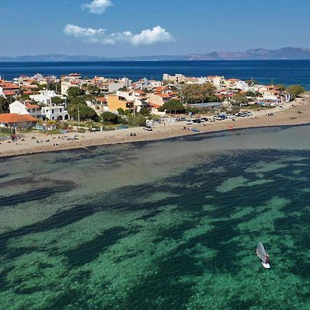 Villa Artemis Boutique House Esterno foto